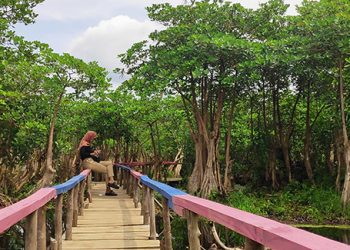 Pulau Kumayan