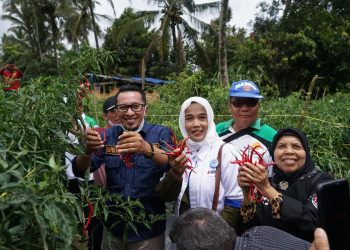 Bupati Eka Putra: Sektor Pertanian Terus Digenjot