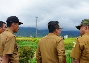 Marapi Erupsi Lagi, Bupati Eka Putra Monitoring ke Lereng Gunung