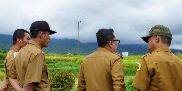 Marapi Erupsi Lagi, Bupati Eka Putra Monitoring ke Lereng Gunung