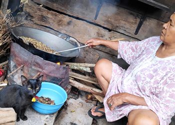 Sangrai Kopi