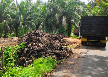Bebas Sampah