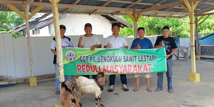 PT. Bengkulu Sawit Lestari Bagikan Hewan Kurban Untuk Meriahkan Perayaan Idul Adha Tahun 2024