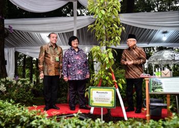 Wapres Ma’ruf Amin Ajak Elemen Bangsa Perkuat Komitmen Jaga Lingkungan