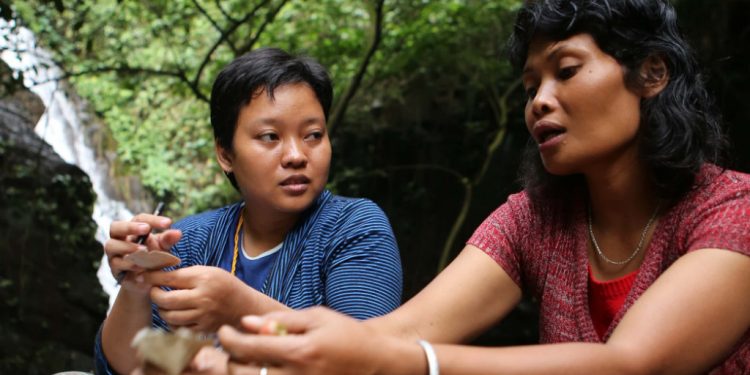 Tanaman Liar Solusi Gizi Buruk