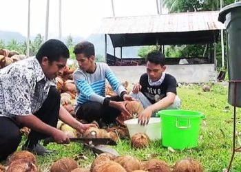 Rahasia Inovator Minyak Kelapa Murni