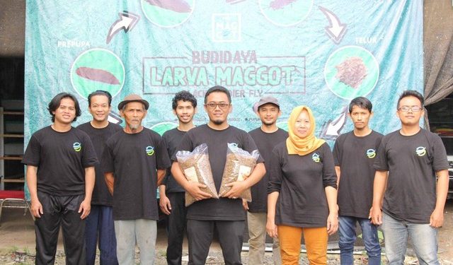 Black Soldier Fly, Ekstraksi Energi dan Nutrien Sampah Sayuran