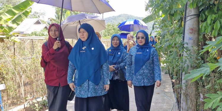 Dasawisma Gelatik 9 Nagari Pangian Lintau Buo Dinilai Tim Provinsi