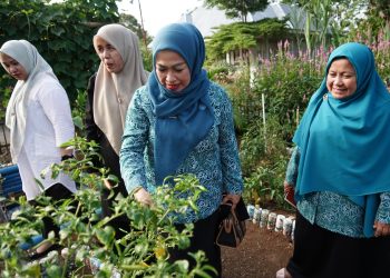 Ny. Lise Eka Putra, Kintiniutas Pembinaan Gerakan PKK Untuk Hasil Yang Maksimal
