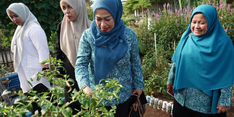 Ny. Lise Eka Putra, Kintiniutas Pembinaan Gerakan PKK Untuk Hasil Yang Maksimal