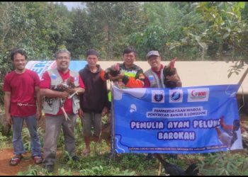 Pemberdayaan masyarakat Penyintas Bencana melalui Program Pemulya Ayam Pelung BAROKAH